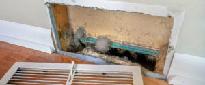 dirty furnace vent and duct